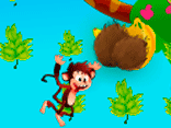 Monkey Collect