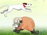 Sheep Jumper II