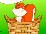 Squirrel in Basket