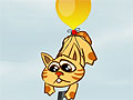 Ballon Cat
