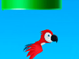 Floppy Parrot