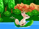 Fox on a River
