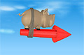 Pig On The Rocket