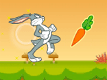 Carrot Hunt