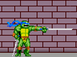 Ninja Turtle Double Dragons