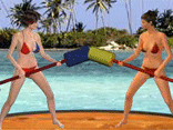 Beach Catfight