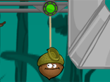 Doctor Acorn