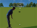 Flash Golf 3D