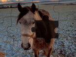 Jigsaw World Horses