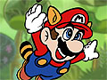 Mario Jungle Adventure