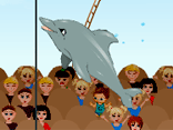 My Dolphin Show