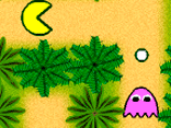 Pacman Jungle Trip