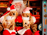 Santa Paws - Hidden Objects