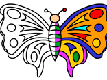 Butterfly Coloring