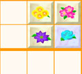 Sudoku flores