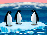 Turbocharged Penguins