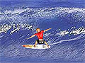 Wipeout